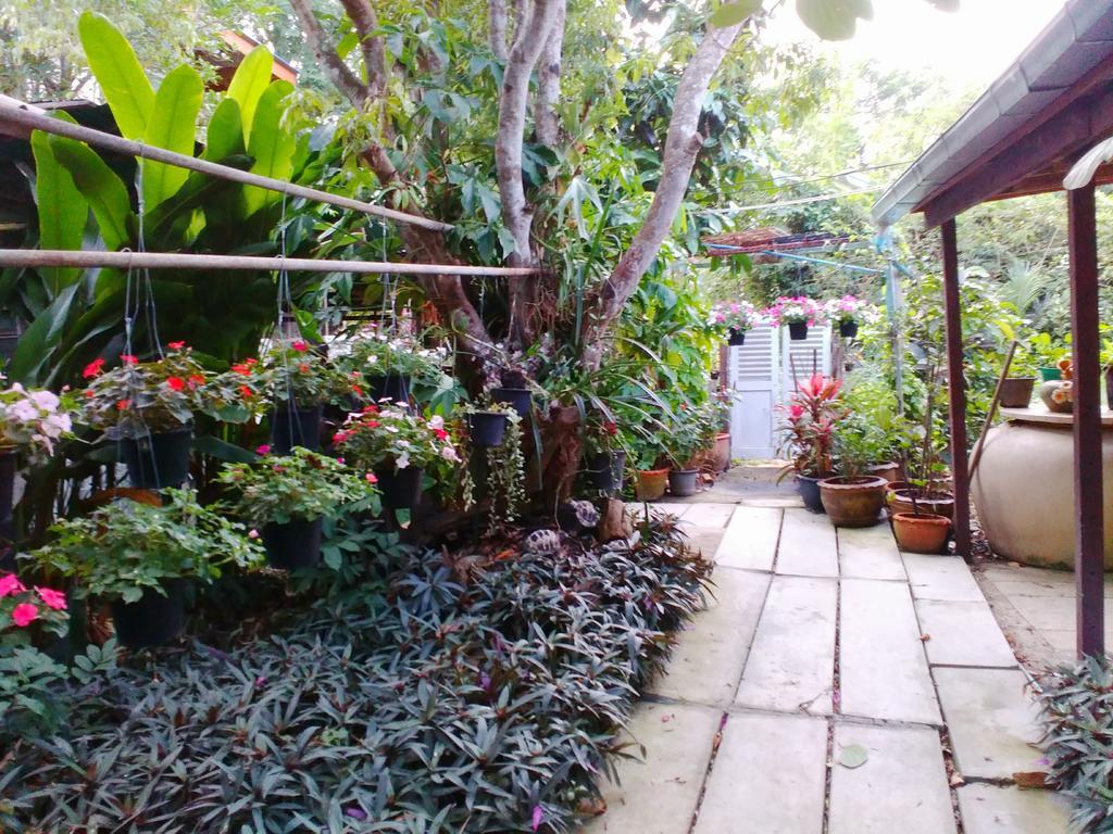 אמפווה Nr Homestay מראה חיצוני תמונה